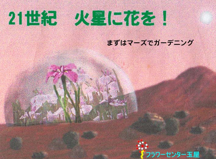 21IΐɉԂI܂̓}[YŃK[fjO